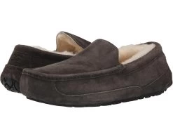 UGG Ascot