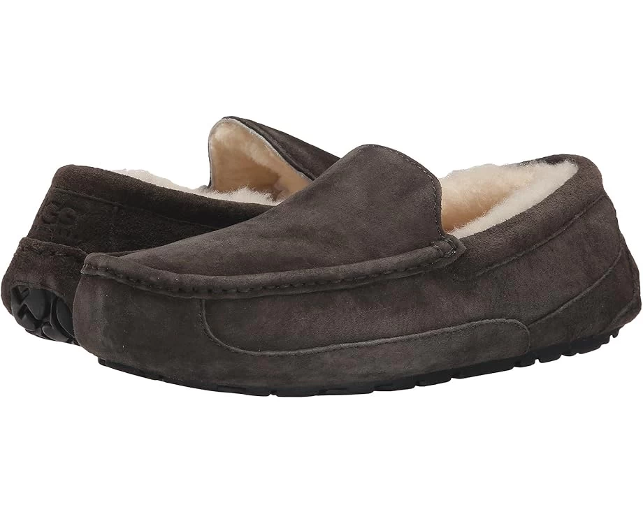 UGG Ascot 3 UGG Ascot